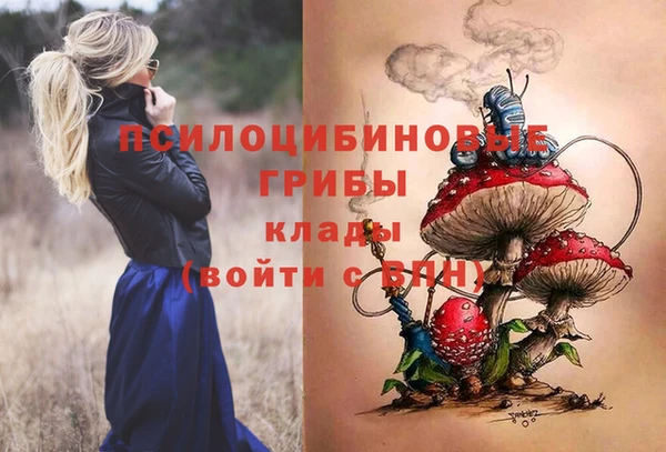 круглые Аркадак