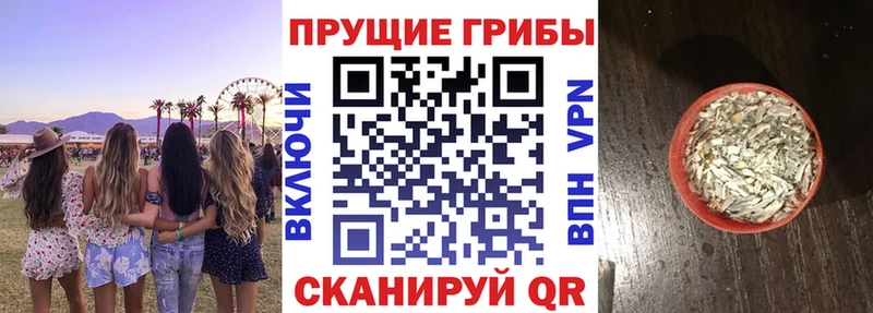 сайты даркнета телеграм  Лукоянов  Псилоцибиновые грибы MAGIC MUSHROOMS 